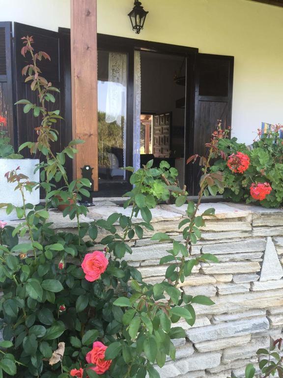 White Sand Villa Koviou Beach Nikiti Sithonia Exteriér fotografie